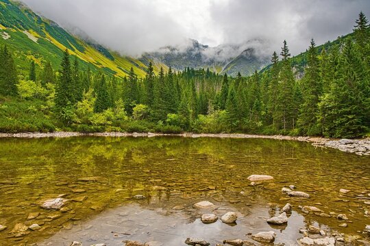 Wide scenic landscape of a clear alpine lake with shallow stone bottom, lush green evergreen pine forest, and dramatic misty mountain peaks in the background. Concept of pristine nature, hiking, outdo