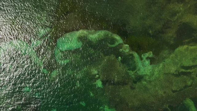 Top-down aerial of shallow reef waters off Saint Lucia's coast, revealing swirling patterns of emerald green coral beneath the shimmering Caribbean Sea.