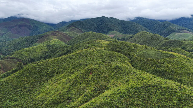 Aerial view from drone of the forest and mountain range