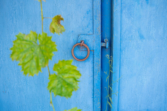 Ring handle on blue iron gate, vintage entrance architecture concept