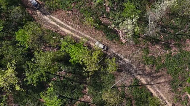 Direct top-down aerial video following three ATV off-roading side-by-side vehicles driving under it on a dirt path in the West Virginia countryside