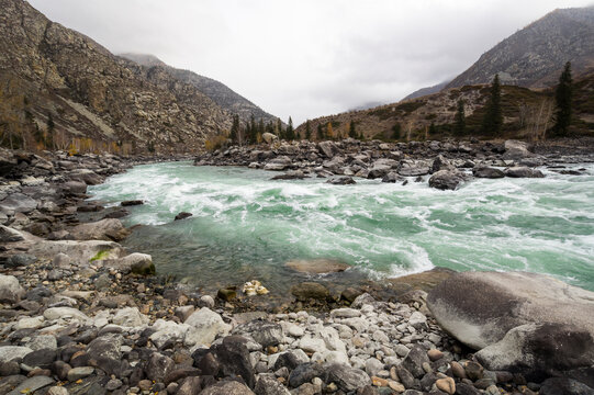 View of river Katun in Altay mountains in the autumn