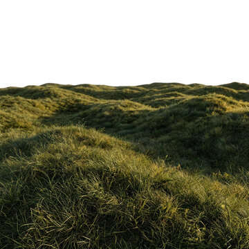 Une vue panoramique en gros plan d'un paysage vallonn&eacute; recouvert d'herbe verte luxuriante et dense, avec un &eacute;clairage naturel doux et un fond blanc isol&eacute; pour une int&eacute;gration facile dans vos projets.