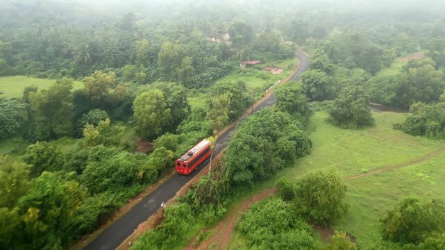 Aerial view of public red buses driving on rural asphalt road through lush green monsoon landscape.