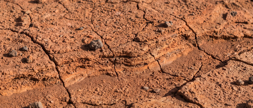 Martian dry cracked ground texture