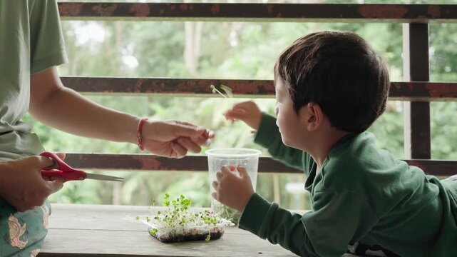 A child helps harvest homegrown broccoli microgreens with a mother, learning by touching, smelling, and observing fresh sprouts through a hands-on gardening activity.