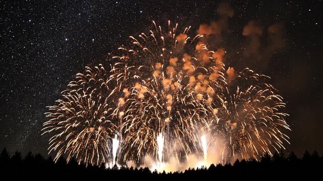Red fireworks exploding over forest under starry night sky