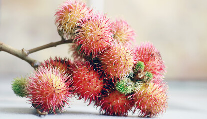 Rambutan fruit with stalk on white background. © Harismoyo