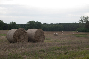 Mazury zachodnie, Polska, Europa © Jarek Zuzga