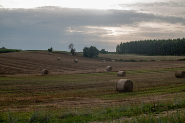 Mazury zachodnie, Polska, Europa © Jarek Zuzga