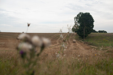 Mazury zachodnie, Polska, Europa © Jarek Zuzga