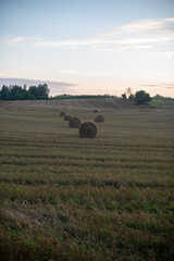 Mazury zachodnie, Polska, Europa © Jarek Zuzga
