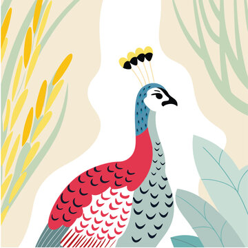 vector illustration of a peacock in a background