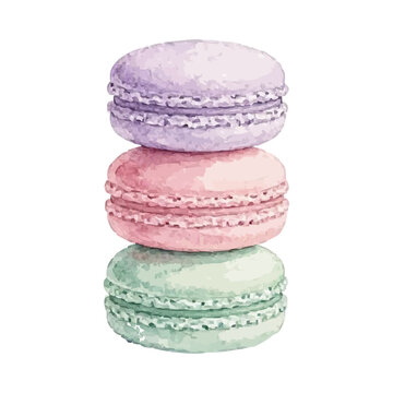 Vector watercolor macaron