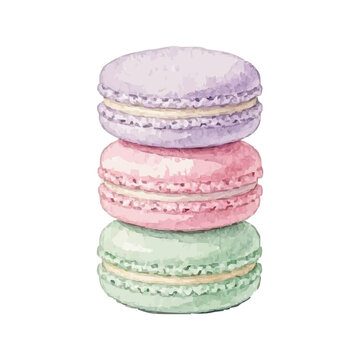 Vector watercolor macaron