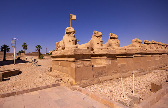 Historical monuments of Luxor, karnak temple, statues and columns in ancient buildings, Egypt