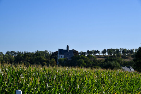 Maisfeld vor einer kleinen historischen Burg- oder Festungsruine in l&auml;ndlicher Landschaft unter blauem Himmel. Landwirtschaft, Kulturdenkmal, Sommer, Natur und regionale Geschichte.