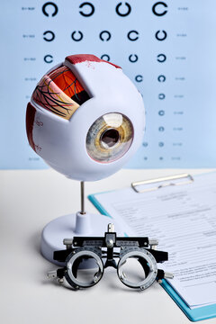 Anatomical eye model with trial frame and vision chart in an ophthalmology office. Eye examination and optometry concept