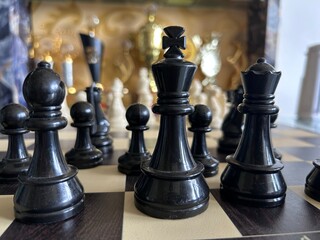 chess king on a chessboard © prakhar