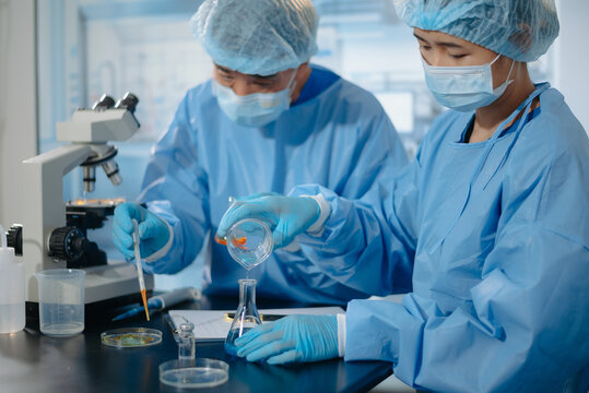 Two scientists collaborating in a modern biotechnology laboratory using laptop and microscope for biomedical research, healthcare innovation