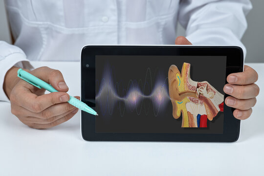 Otolaryngologist using a pen to point at an ear anatomical cross-section and sound wave diagram on a tablet during an audiology consultation