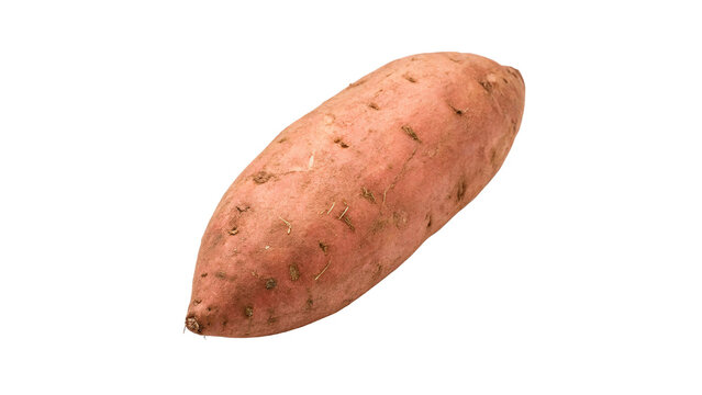 Single raw sweet potato whole tuber vegetable isolated on transparent background for healthy organic diet traditional dishes.
