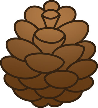 Evergreen pine tree illustration with line