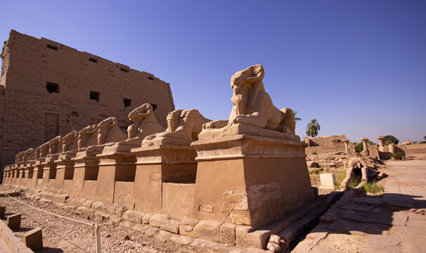 Historical monuments of Luxor, karnak temple, statues and columns in ancient buildings, Egypt
