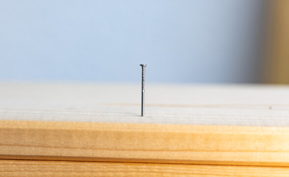 Close-up nail in a wooden board. Reparing or creating something new.