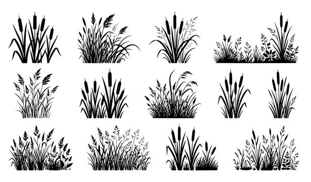 Cattail Reed and Wild Wetland Grass Silhouette Collection Vector Illustration