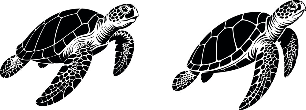 Detailed black and white sea turtle illustrations rendered in swimming side profile poses with patterned shell textures
