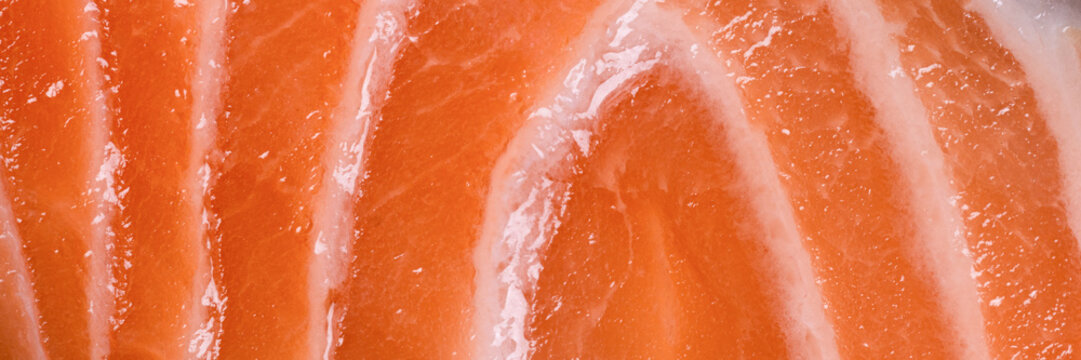 Close-up texture of raw salmon fillet showing natural orange color, fat lines and detailed fish pattern. Wide food banner for seafood, nutrition, cooking and culinary design concepts.