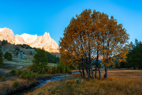 Landscape of Claree valley with rocky mountain peak, fall foliage tree, river flowing in French Alps France