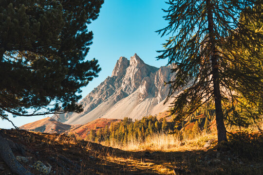 Rocky mountain peak framing through pine trees during autumn in Claree Valley Nevache France