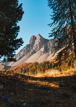Rocky mountain peak framing through pine trees during autumn in Claree Valley Nevache France