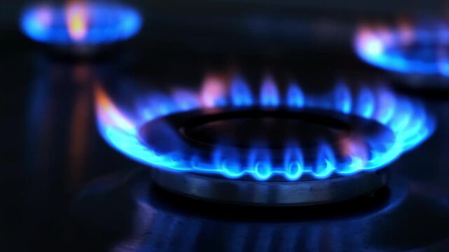 Several of gas burns in the burner of a kitchen stove. Kitchen burner flaming in the dark, closeup. Panoramic movement.