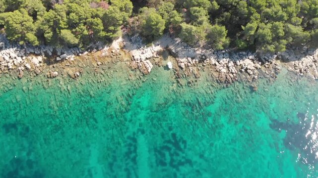 Aerial view of the island of Hvar in Croatia. A bay of the Adriatic Sea in Dalmatia. The forests and coast of Hvar in summer. The azure sea on a sunny day.