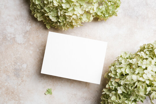 White blank greeting card mockup placed on beige concrete background with green dry hydrangea flowers, flat lay with copy space for invitation card design