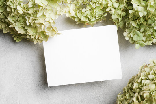 Blank wedding invitation or greeting paper card mockup on light grey textured background with green hydrangea flowers decor, floral flat lay with copy space