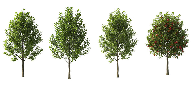 Four trees are depicted against a transparent background. Each tree looks different: some are entirely green, while one has red apples hanging from it. The trees vary in height and size.