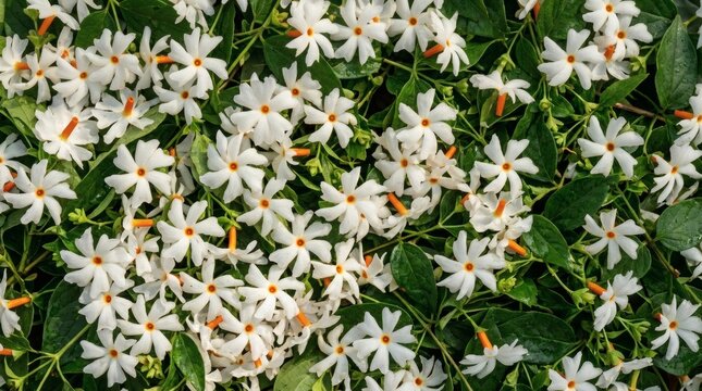 Vibrant White and Green Floral Background