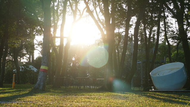 Warm sunlight filtering through trees in a quiet park
