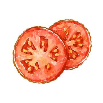 Red ripe tomato slices watercolor vector