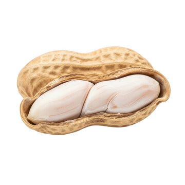 A close-up view of a peanut shell with two peanuts inside, showcasing their natural texture and color.