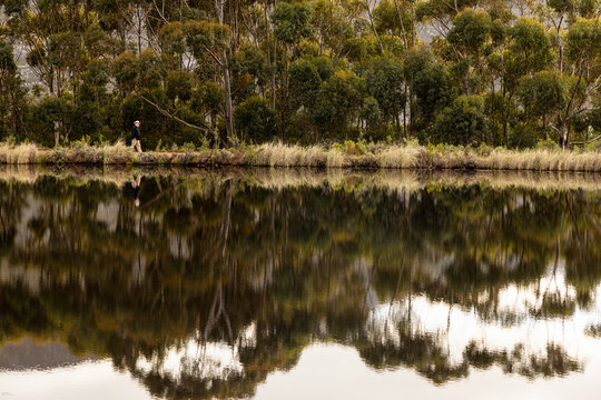man walking perimeter of pond at dawn, Stanford, South Africa