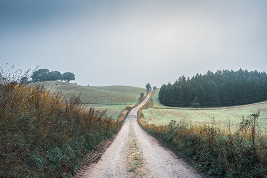 Artistic Shot of Winding Dirt Road Through Rolling Green Hills