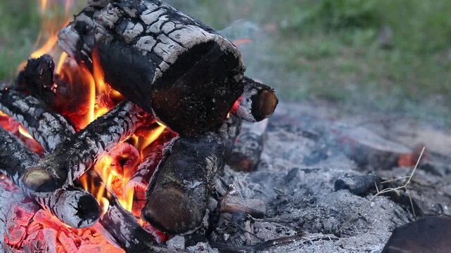 Warm and cozy bonfire in nature close-up. Burning logs turning into coals and ashes under the influence of fire. Concept of relaxation away from civilization, travel and camping. Close-up of a bonfire