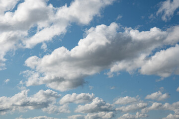 Obraz premium A sky filled with contrasting white cumulus clouds against a deep blue background. The soft edges and bright sunlight create an uplifting summer outdoor scene. Ideal for travel and lifestyle imagery.