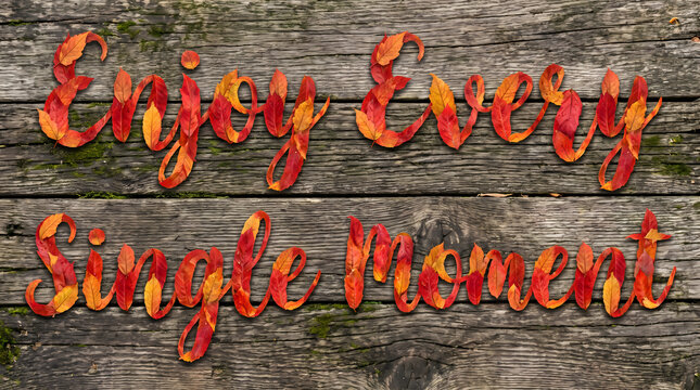 Enjoy Every Single Moment Autumn Leaves Text