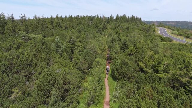 An aerial drone shot pushes in on a lone hiker navigating a winding dirt trail through the lush forest on Schweinkopf mountain in Baden-W&uuml;rttemberg, Germany. Serene nature and adventure.